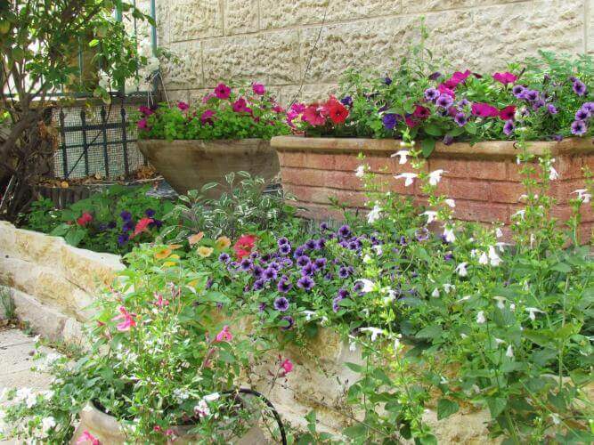 פינה צבעונית